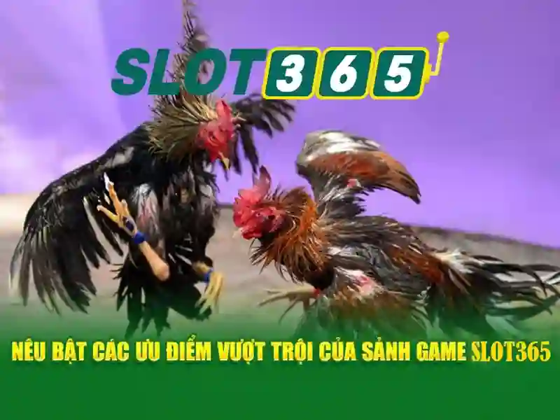 Slot365: Trải nghiệm chơi slot trực tuyến đỉnh cao