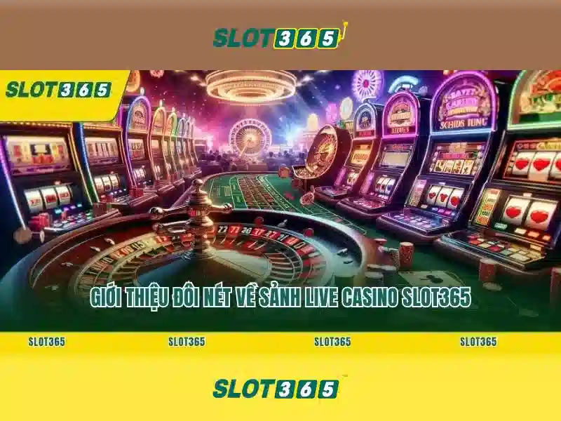 Slot365: Nền tảng máy xèng trực tuyến và đánh giá toàn diện