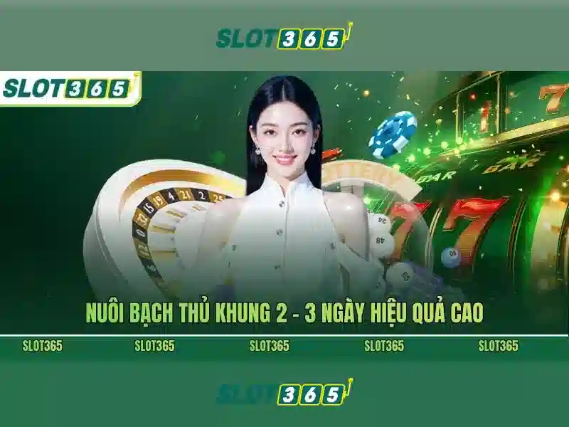 Slot365: Trải nghiệm chơi slot trực tuyến an toàn và hấp dẫn