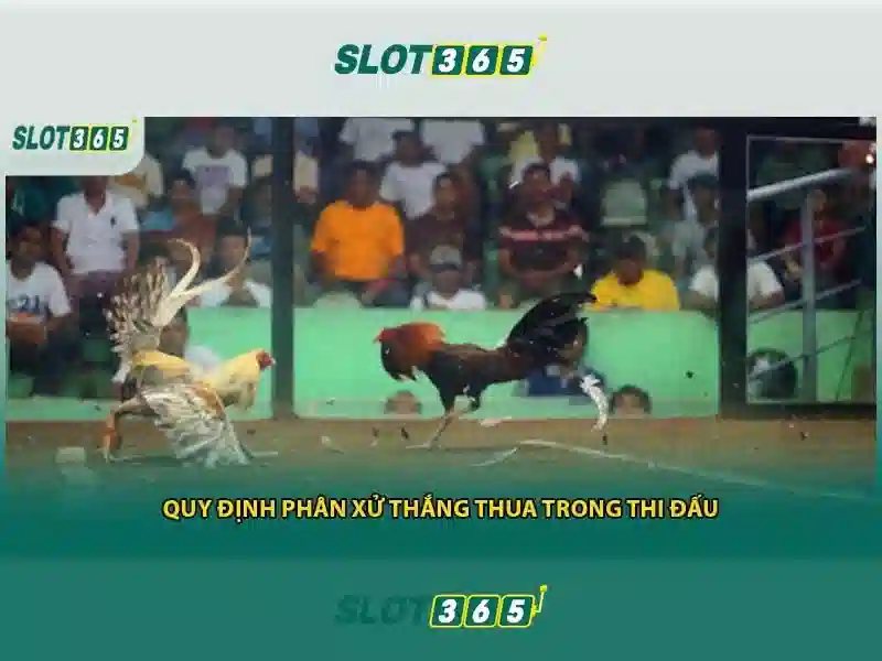 Trải nghiệm người dùng