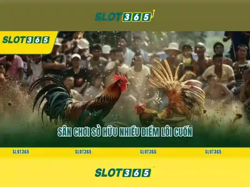 Slot365 - Nền tảng slot trực tuyến an toàn và đáng tin cậy