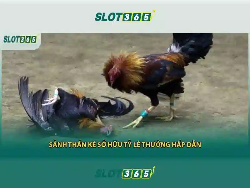 Slot365 là nền tảng slot trực tuyến nổi tiếng
