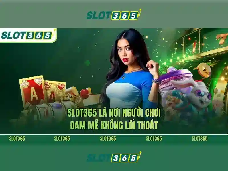 Giao diện và trải nghiệm người dùng