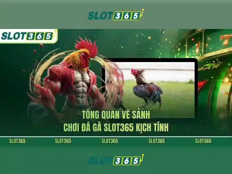Slot365 - Tổng quan