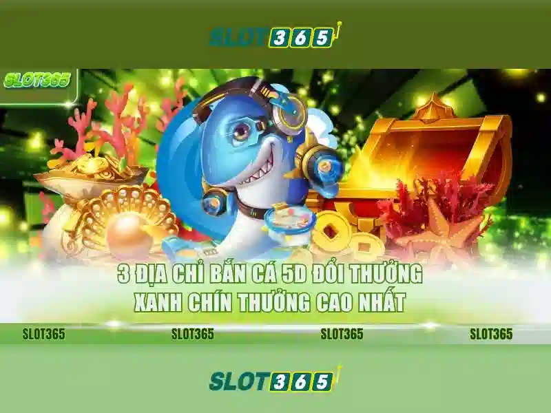 Giao diện và trải nghiệm người dùng