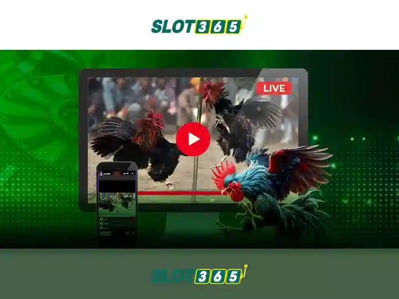 Slot365: Đánh giá tổng quan về nền tảng slot trực tuyến
