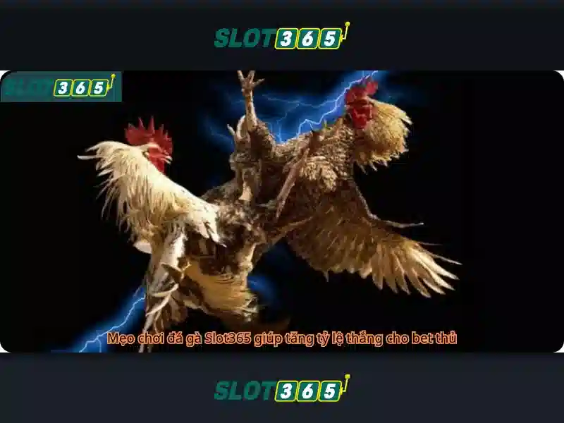 Slot365: Nền tảng trò chơi trực tuyến đáng tin cậy