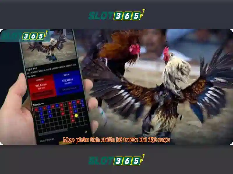 Slot365 - Nền tảng slot trực tuyến an toàn và giải trí
