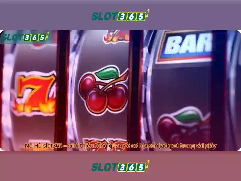 Slot365 là gì?