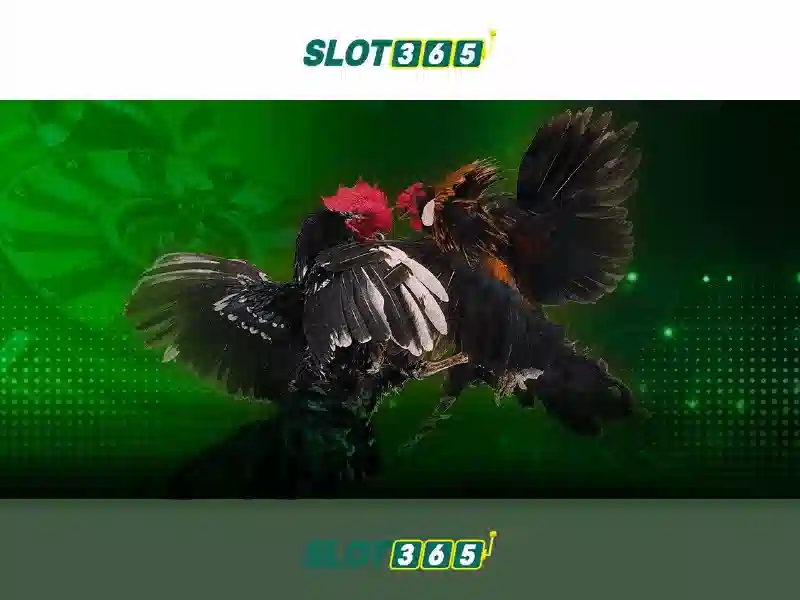 Slot365 - Nền tảng đánh bạc trực tuyến phổ biến