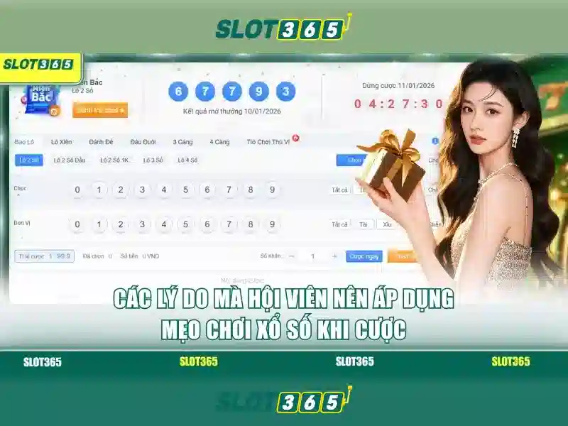 Slot365: Trải nghiệm chơi slots trực tuyến an toàn và thú vị