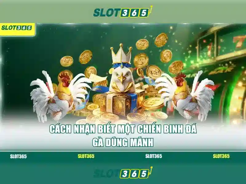 Slot365 – Trải nghiệm xèng trực tuyến hàng đầu