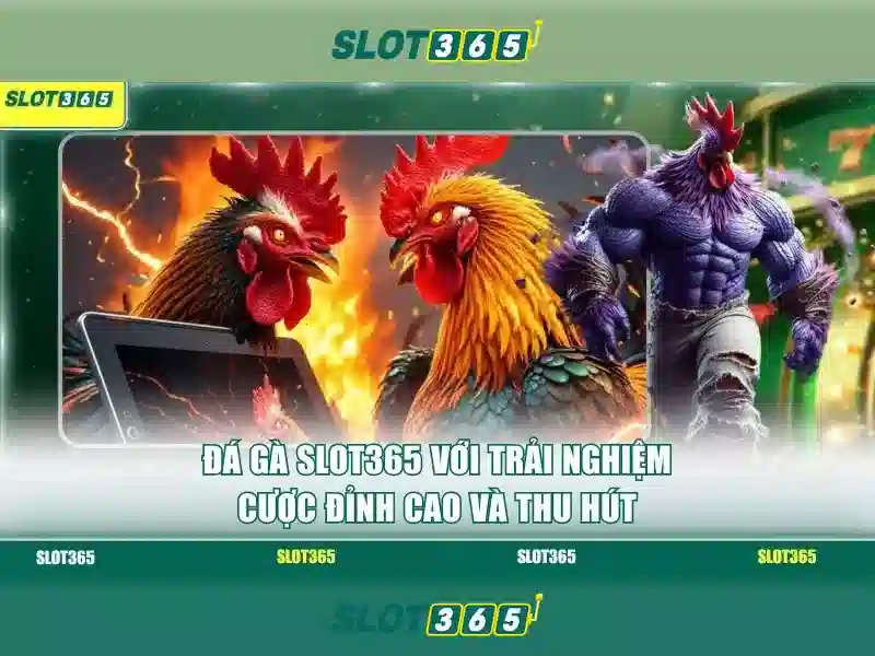 Slot365 – Tổng quan về nền tảng slot trực tuyến