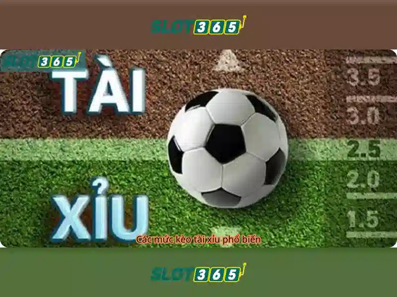 Slot365 là gì và trải nghiệm quay thưởng trực tuyến
