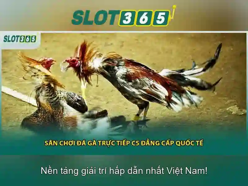 Slot365: Nền tảng trò chơi slots trực tuyến tại Việt Nam