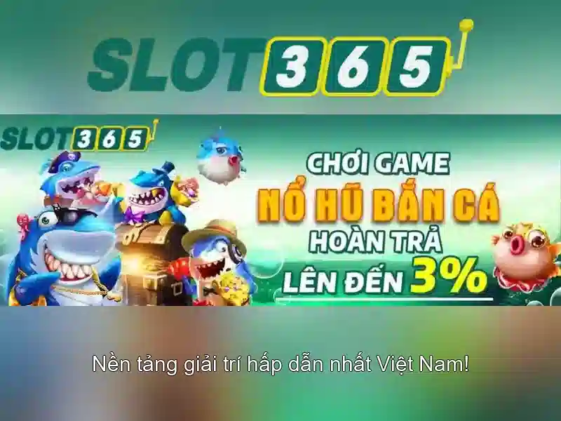 Giao diện người dùng và trải nghiệm