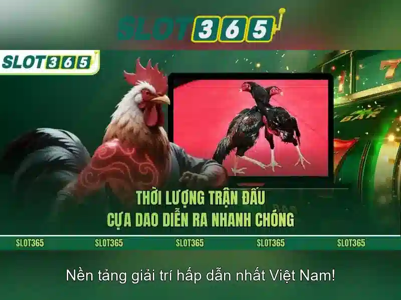 Tính năng nổi bật