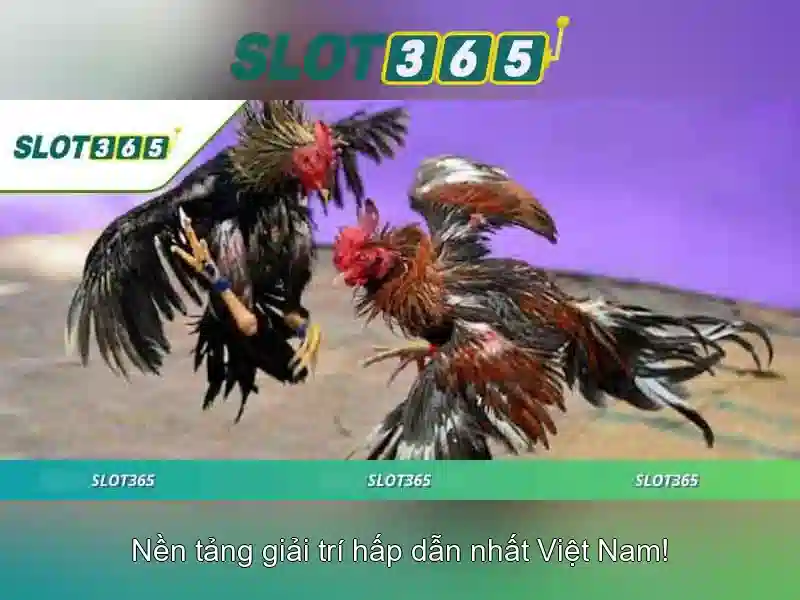 Slot365 - Trải nghiệm slot trực tuyến chất lượng