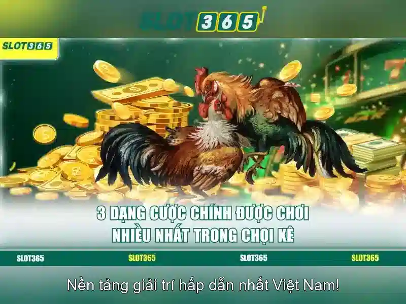 Giới thiệu về Slot365