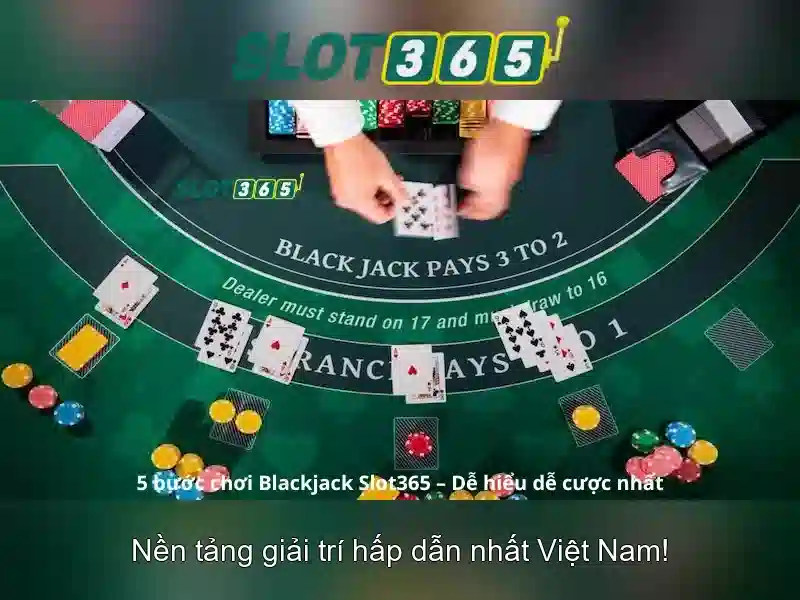 Kiểm tra giấy phép và thời hạn