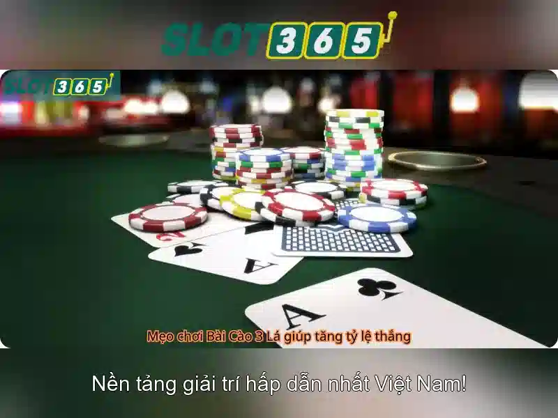 Slot365: Tổng quan và trải nghiệm chơi slot trực tuyến an toàn