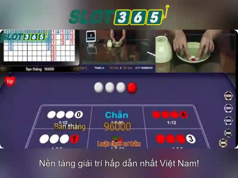 Trải nghiệm người dùng và phiên bản di động