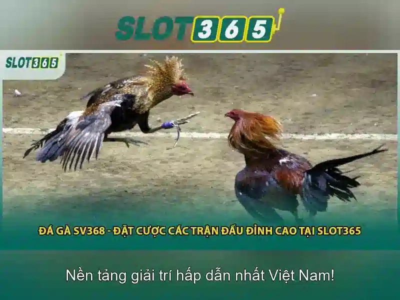 Slot365: Đánh giá và trải nghiệm chơi Slot trực tuyến