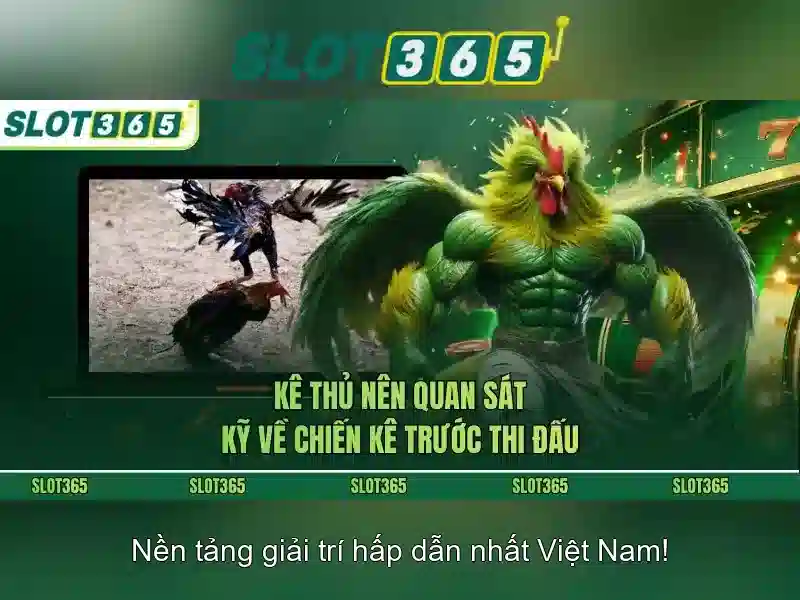 Slot365: Nền tảng trò chơi slots trực tuyến tại Việt Nam