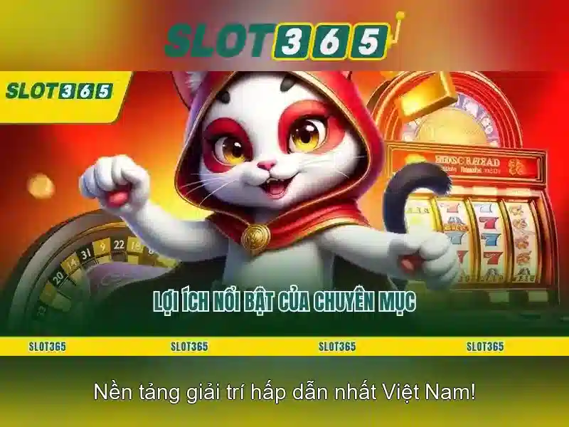 Giới thiệu về Slot365