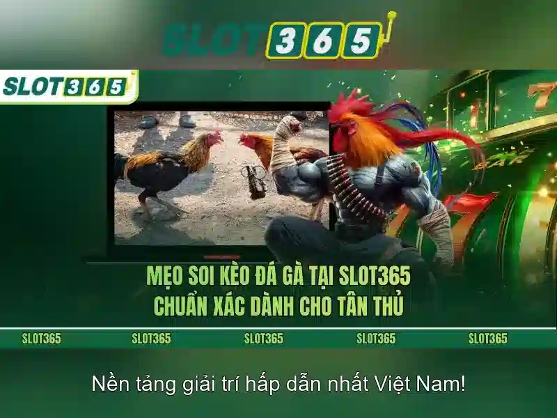 Slot365: Trải nghiệm chơi slot trực tuyến an toàn và tiện lợi