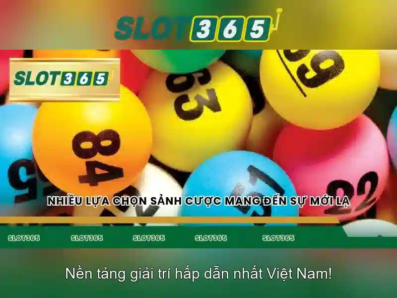 'Khuyến mãi và hỗ trợ khách hàng'