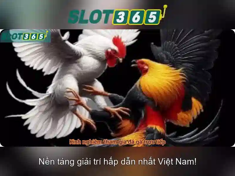 Slot365: Đánh giá và hướng dẫn chơi an toàn