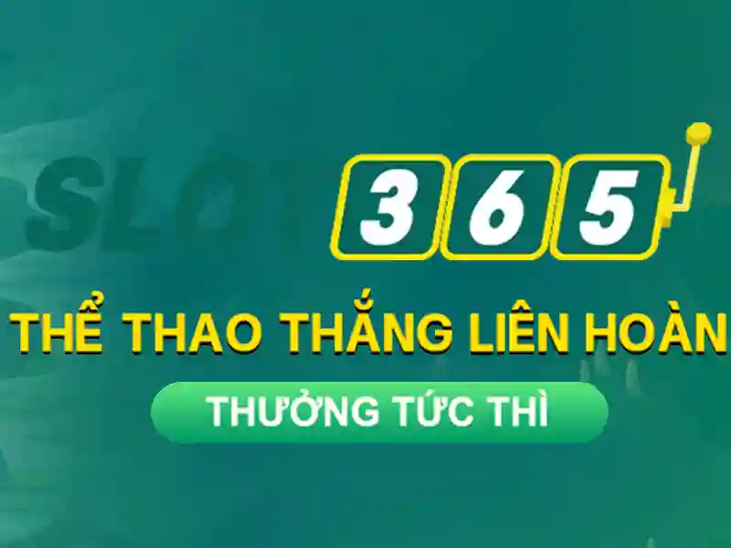 Trải nghiệm người dùng và giao diện
