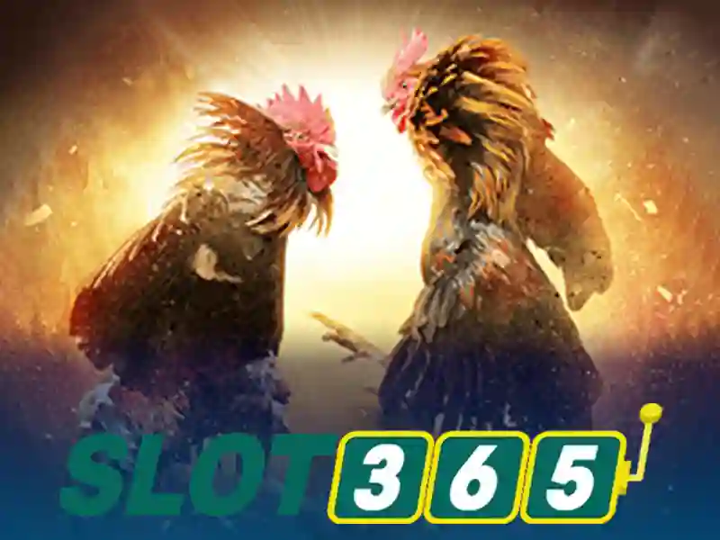 Chân dung Luu Dinh San và văn phòng Slot365 hiện đại