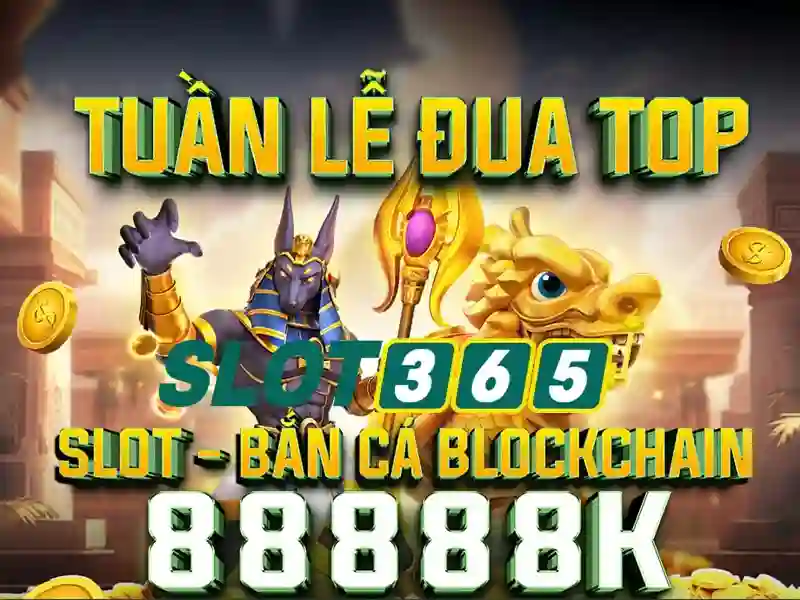 Slot365 là nền tảng giải trí trực tuyến hàng đầu